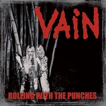 Vain – Rolling With The Punches (2017) 320 kbps