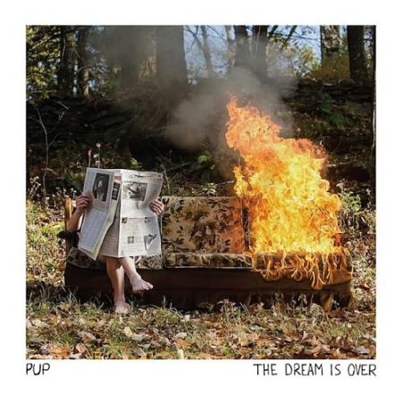 Pup - The Dream is Over (2016) 320 kbps