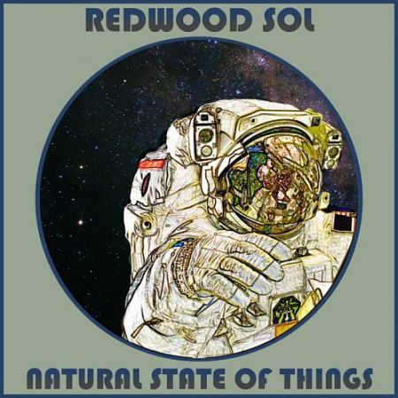 Redwood Sol - Natural State of Things (2017) 320 kbps