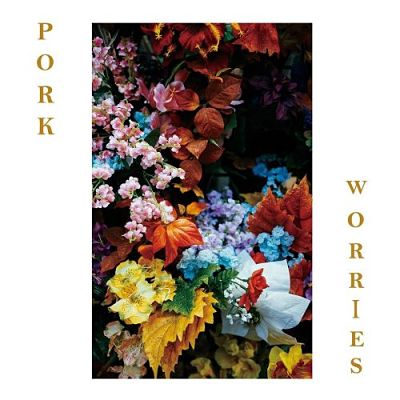 Pork - Worries (2017) 320 kbps