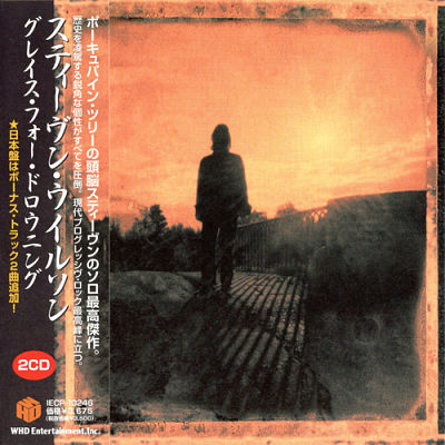 Steven Wilson - Grace For Drowning (2011) [Japanese Edition 2012] 320 kbps + Scans