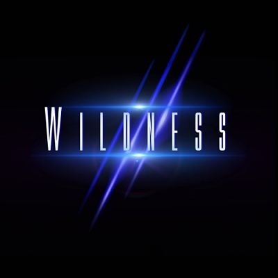 Wildness - Wildness (2017) 320 kbps