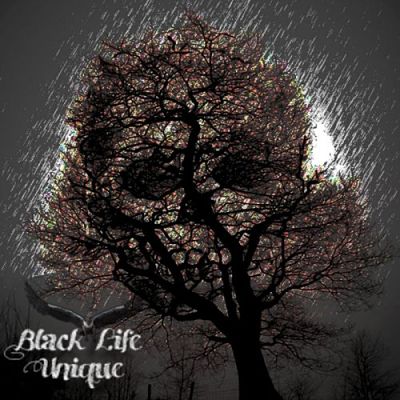 Black Life Unique - Down With Me (2017) 320 kbps