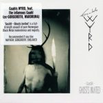 Gaahls WYRD - Gastir - Ghosts Invited (2019) 320 kbps