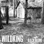 WildKing - Back Home (2020) 320 kbps
