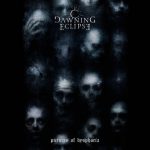 Dawning Eclipse - Pictures of Dysphoria (2019) 320 kbps